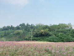 -南北湖风景区