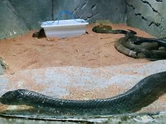 -西安秦岭野生动物园