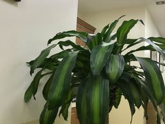 -美联众合动物医院·24h转诊中心