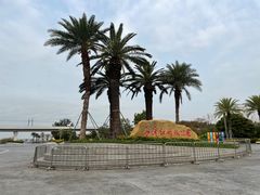 -宝安西湾红树林湿地公园