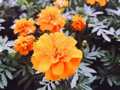 -艾溪湖湿地公园