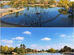 -上海佘山世茂艾美酒店