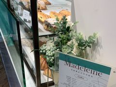 -Madeleine玛德琳(永平里店)