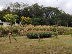-广西壮族自治区药用植物园