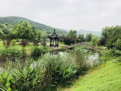-石塘人家