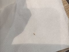 -魏家凉皮(博水商务大厦店)