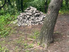 -帽儿山国家森林公园