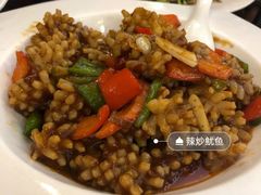 辣爆鱿鱼-晋阳饭庄(虎坊桥店)