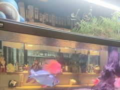 -阿泽料理