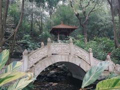 -深圳国际园林花卉博览园