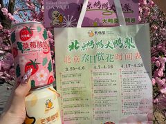 -大鸭梨烤鸭(望京店)