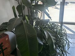 -向外鱼乐·土菜·虹鳟鱼