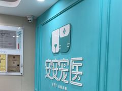 -安安宠医宠物医院·异宠·犬猫内科(岳阳分院)