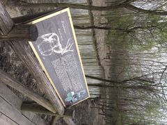 iphone_upload_pic-溱湖国家湿地公园