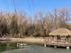 -南宫五洲植物乐园