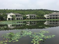 -苏州环秀晓筑养生度假村