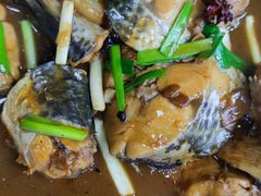 -渔家小院观海海肠捞饭地方菜(环海中路店)