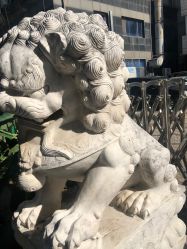 -欧扬医疗美容