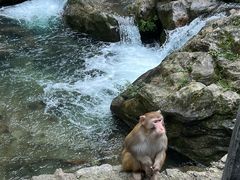 -三峡人家风景区