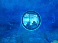 -多彩贵州城极地海洋世界