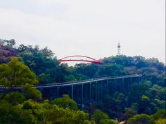 -金鸡山公园