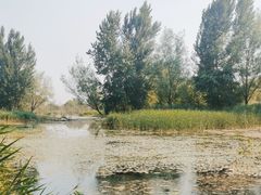 -绿堤公园