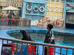 -华夏文旅海洋公园