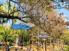 -人民公园(罗湖区)