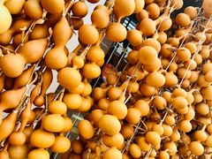 -中环花鸟鱼虫市场