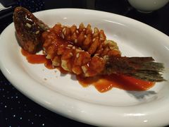 松子鱼-赫帝拉航空主题餐厅(南宁店)