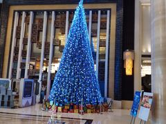 -常州富力喜来登酒店 Feast盛宴标帜西餐厅(新北万达广场店)