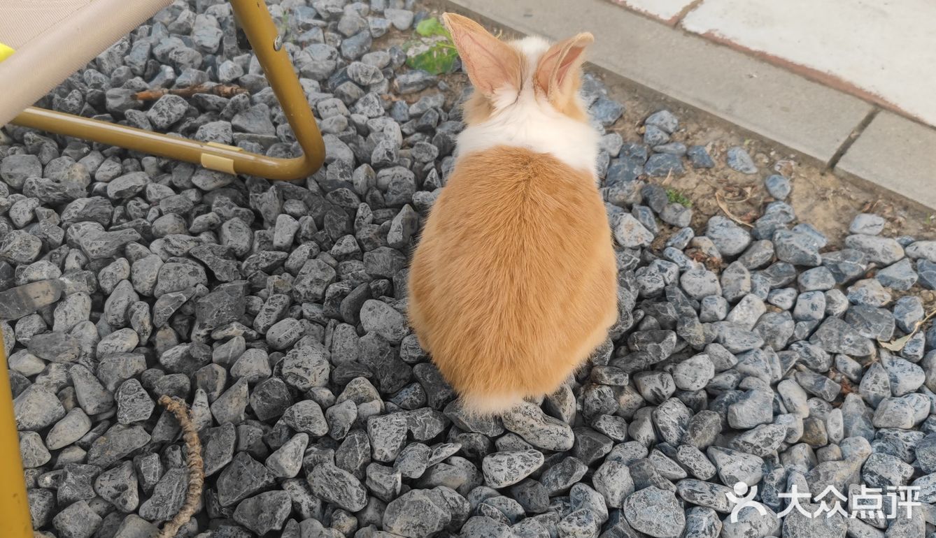 忙里偷闲的理想场所