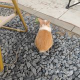 忙里偷闲的理想场所