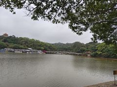 -东莞市虎英郊野公园