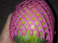 -果多美(万泉庄店)