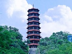 -红花山公园