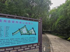 -南翔镇银翔湖公园