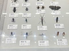 -四川大学博物馆