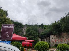 -长虫山生态公园风景林