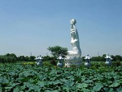 -荷塘月色湿地公园·向阳花洲