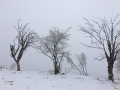 -太子岭滑雪场