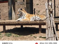 -大连森林动物园