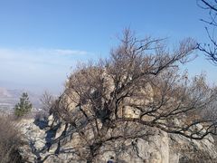 -北京鹫峰国家森林公园