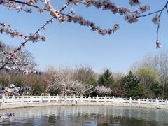 -东升八家郊野公园