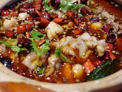 -文记沸腾鱼(永安路总店)