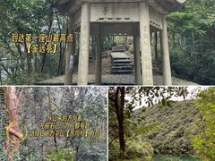 -午潮山国家森林公园