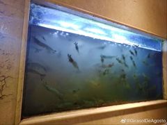 -阿英煲(凉城路店)