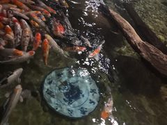-北京海洋馆