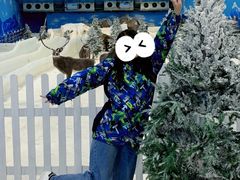 -世界之窗阿尔卑斯冰雪世界