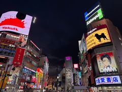 -涩谷全向十字路口